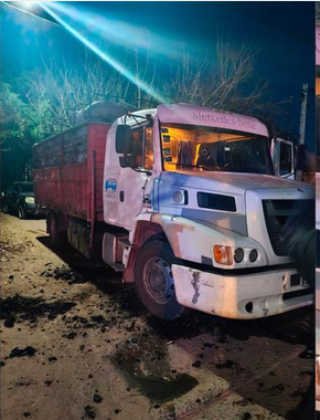 Fernández: Peones sofocaron el incendio de un camión cargado con carbón Fernández: Peones sofocaron el incendio de un camión cargado con carbón